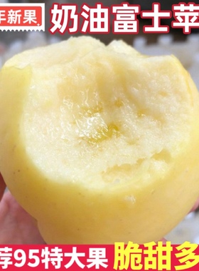 【23年新果】山东烟台栖霞黄金奶油富士苹果10斤冰糖心新鲜水果