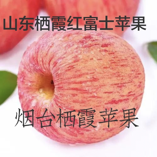 山东烟台栖霞苹果红富士苹果新鲜水果栖霞红富士条纹苹果时令水果