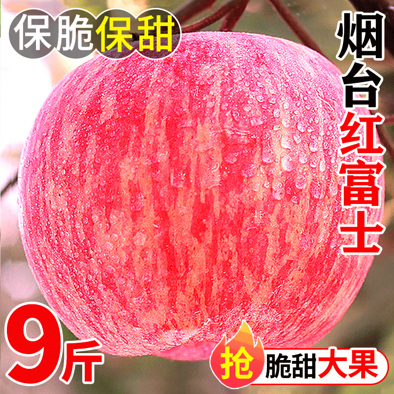 正宗山东烟台红富士苹果水果新鲜当季10斤一级栖霞脆甜平安果整箱