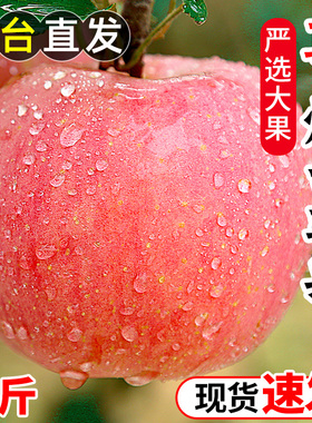烟台红富士苹果10斤新鲜水果应当季栖霞萍果冰糖心丑平果整箱包邮