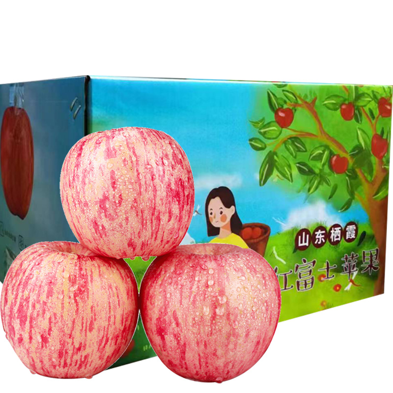 【彩箱礼盒】烟台红富士苹果水果新鲜正宗山东栖霞苹果冰糖心整箱