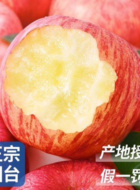 红富士苹果10斤应当季新鲜水果整箱山东栖霞脆甜冰糖心丑平果