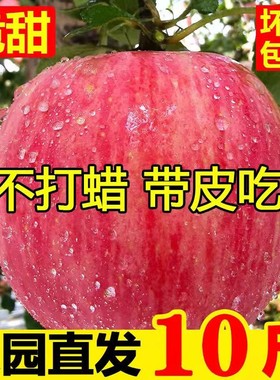 苹果水果新鲜当季整箱正宗陕西洛川红富士栖霞脆甜9斤冰糖心苹果