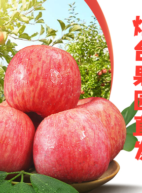 正宗烟台红富士苹果10斤新鲜苹果实惠装整箱包邮新鲜水果栖霞特产