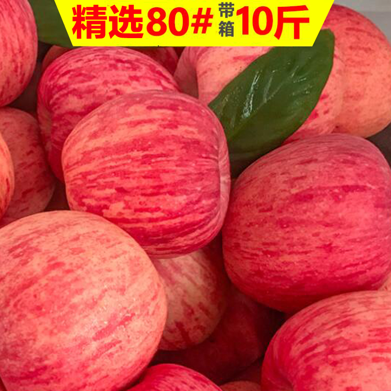 烟台苹果水果新鲜山东栖霞当季脆甜带整箱9斤红富士10