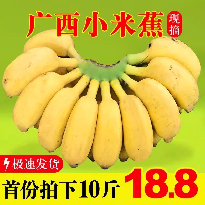 现摘广西小米蕉当季新鲜水果10斤整箱自然熟banana苹果蕉香蕉粉蕉