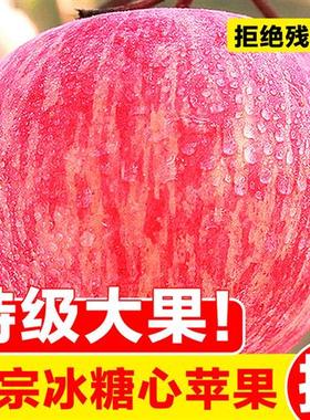 山西运城红富士脆甜冰糖心丑苹果水果新鲜萍果10斤整箱现季冰糖心