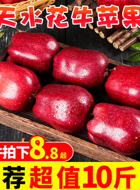 甘肃天水花牛苹果10斤新鲜当季水果整箱红蛇果粉面平果脆甜红苹果