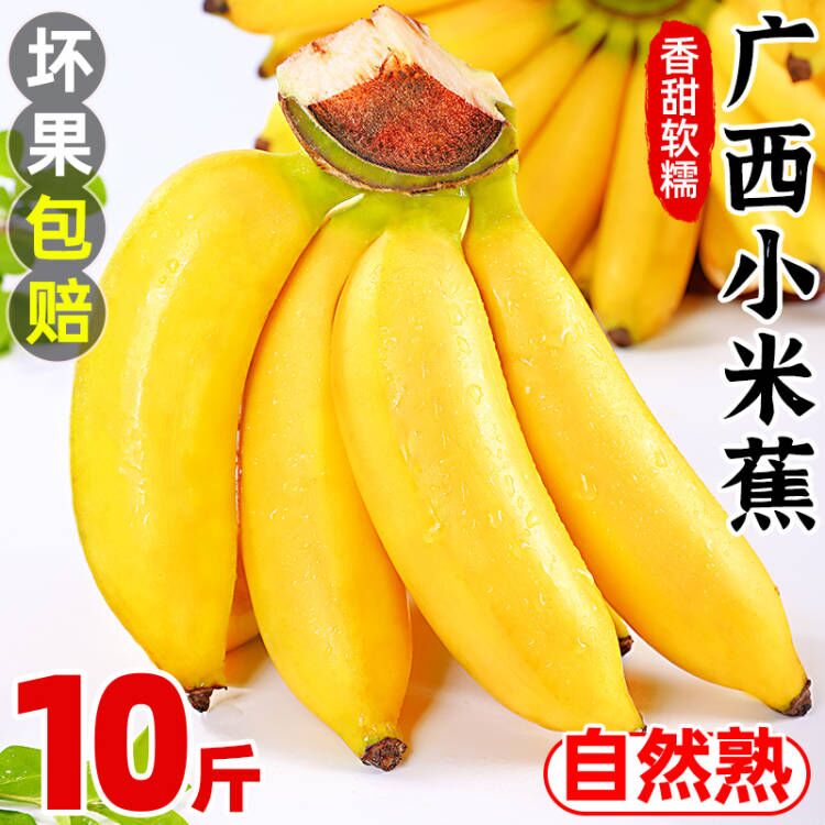广西小米蕉10斤新鲜水果包邮现摘小香芭蕉苹果蕉甜香蕉整箱自然熟