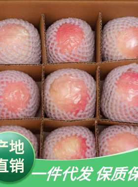 【礼盒装】山西临猗红富士苹果新鲜水果整箱10/5斤冰糖心脆甜现摘