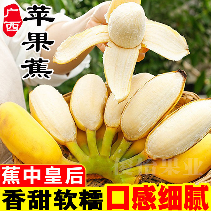广西苹果蕉正宗9斤5斤香蕉新鲜水果甜整箱10非海南广东小米蕉芭蕉