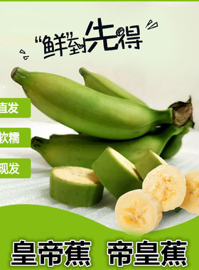 新鲜皇帝蕉帝王蕉黄帝蕉小香蕉水果整箱10斤苹果蕉粉蕉米蕉大芭蕉