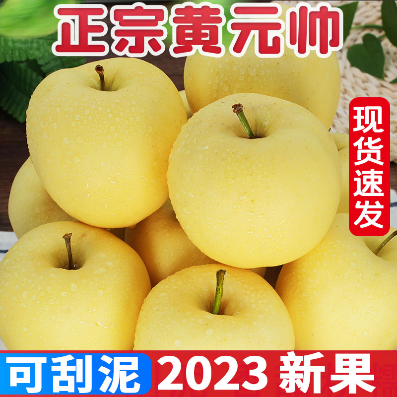 黄元帅苹果新鲜水果9斤黄金帅当季烟台粉面苹果黄苹果整箱10