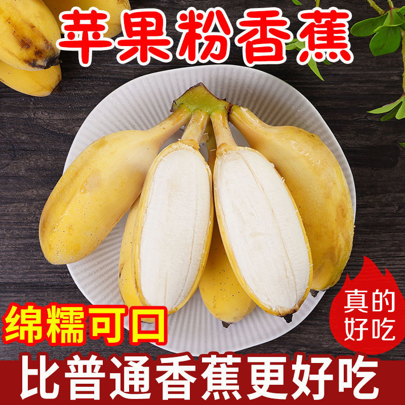 苹果粉蕉香蕉新鲜水果批发包邮10斤非广西小米蕉芭蕉banana帝王蕉