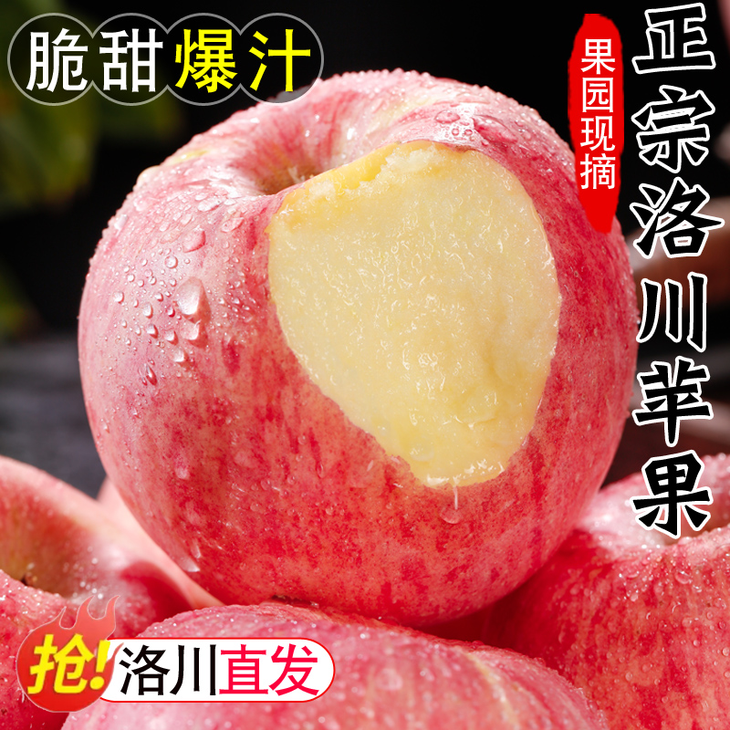 正宗陕西洛川苹果新鲜水果10斤当季红富士应季冰糖心整箱脆甜多汁