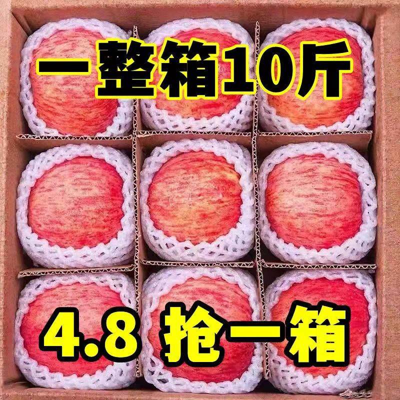 正宗洛川一级红富士苹果新鲜当季水果冰糖心脆甜10斤精品整箱