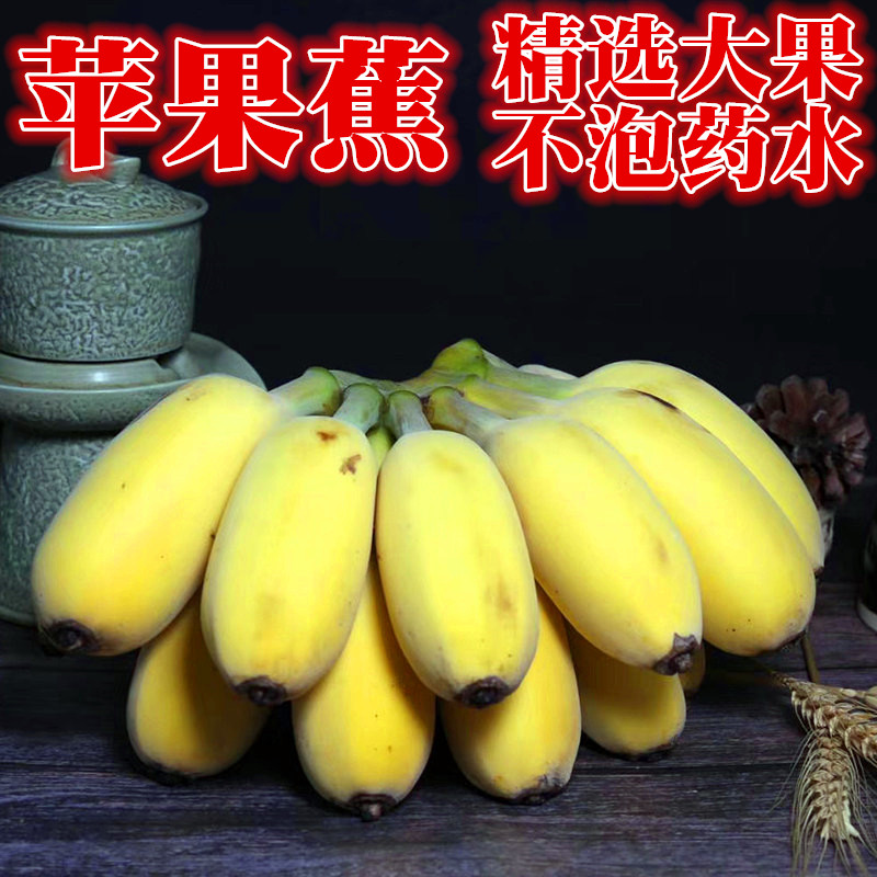 广东苹果蕉香蕉新鲜9斤自然熟当季整箱水果粉蕉5斤小米芭蕉香焦10