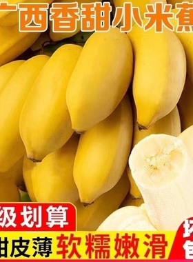 正宗广西小米蕉10香蕉新鲜水果整箱斤当季小香蕉粉蕉自然熟苹果蕉