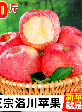 正宗洛川红富士苹果10斤新鲜时令水果当季整箱包邮甜冰糖心萍果丑