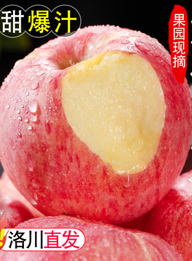 正宗陕西洛川苹果新鲜水果10斤当季红富士应季冰糖心整箱脆甜多汁