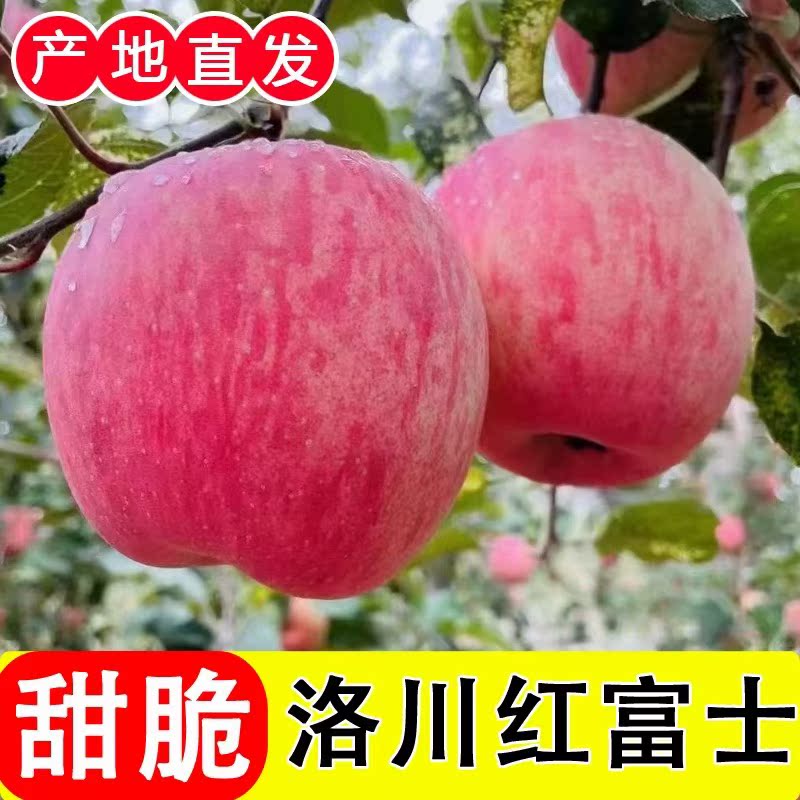 洛川丑苹果正宗陕西红富士新鲜水果当季产地直发3/5/8/10斤