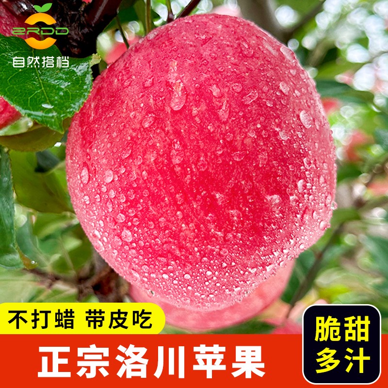 正宗陕西洛川苹果水果新鲜当季2.5kg脆甜红富士产地直发自然搭档