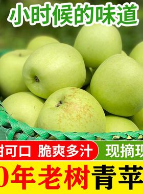 新鲜青苹果水果当季整箱10斤应季酸甜平果顺丰云南昭通丑苹果