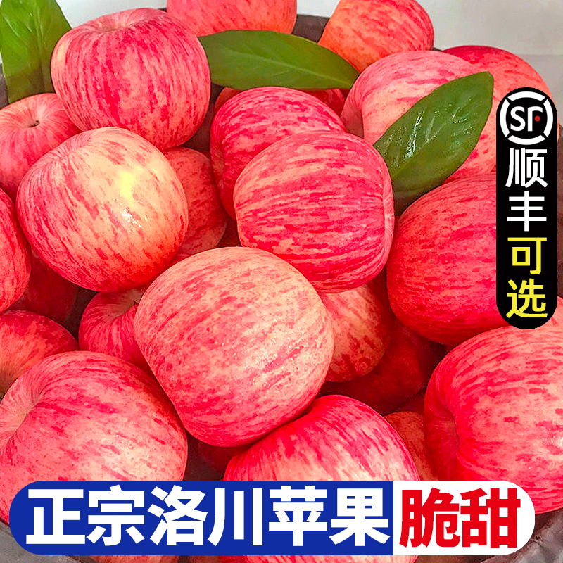 洛川苹果红富士水果新鲜当季整箱10斤延安特产一级应季萍果包邮