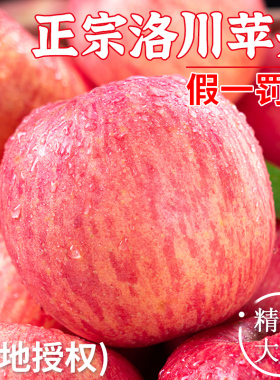 正宗陕西洛川苹果红富士10水果新鲜当季整箱斤冰糖心脆甜特级官方