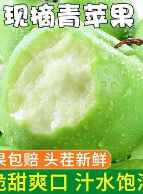 陕西青苹果新鲜酸甜爽口小青果10斤水果当季孕妇冰糖心青皮小林果