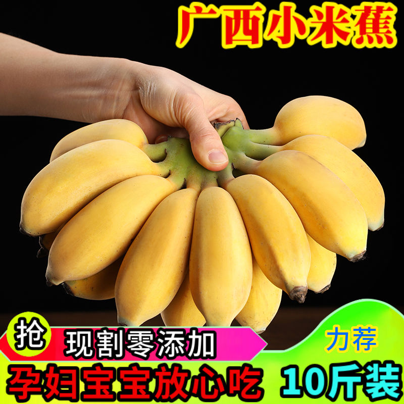 广西新鲜小米蕉带箱10斤香蕉芭蕉海南帝王蕉banana水果苹果粉蕉3