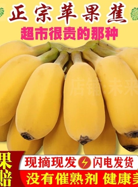 广西香蕉新鲜10斤整箱苹果蕉小米售barngng粉蕉芭蕉水果当季自然