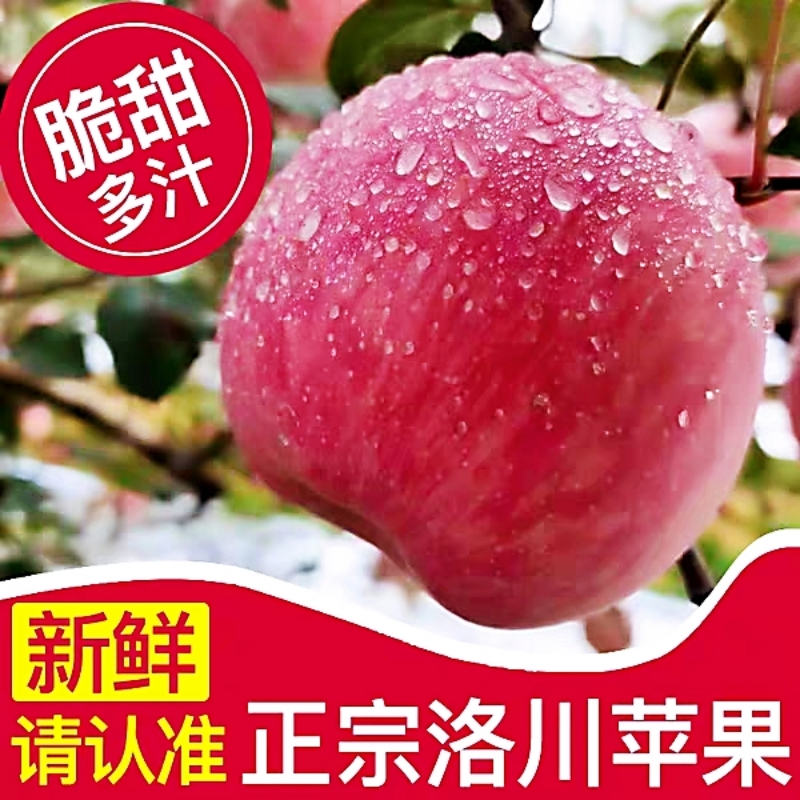 陕西水晶红富士苹果带箱10斤新鲜水果当季现摘包邮精品洛川红富士