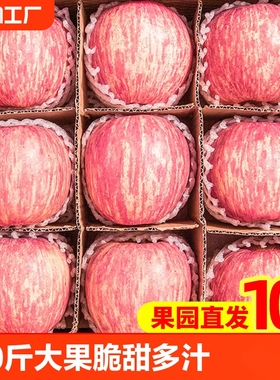 正宗山东烟台红富士苹果新鲜水果脆甜整箱冰糖心丑苹果10斤自然