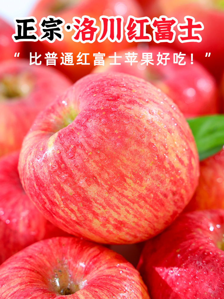 正宗烟台苹果9斤新鲜水果红富士当季冰糖心脆甜大10陕西整箱