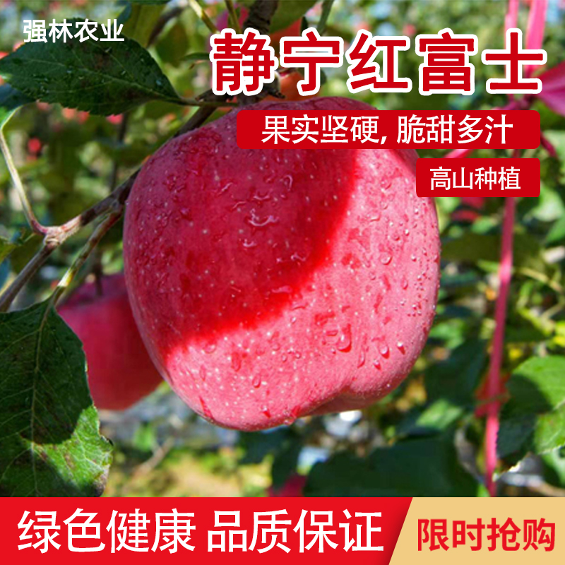甘肃特产静宁高山红富士脆甜苹果新鲜应季水果强林整箱正宗品质