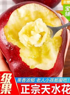 甘肃天水花牛苹果4.5斤装新鲜斤当季水果整箱红蛇粉面包邮