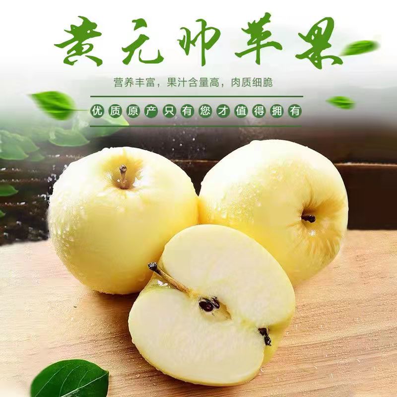 甘肃静宁黄元帅黄金帅苹果应季水果新鲜粉面刮泥黄香蕉奶油苹果