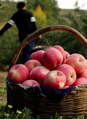 新鲜水果苹果静宁苹果红富士脆甜多汁农产品新鲜丑苹果水果甘肃果