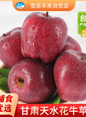 【雪原】甘肃天水花牛苹果当季新鲜水果产地直发粉面刮泥顺丰包邮