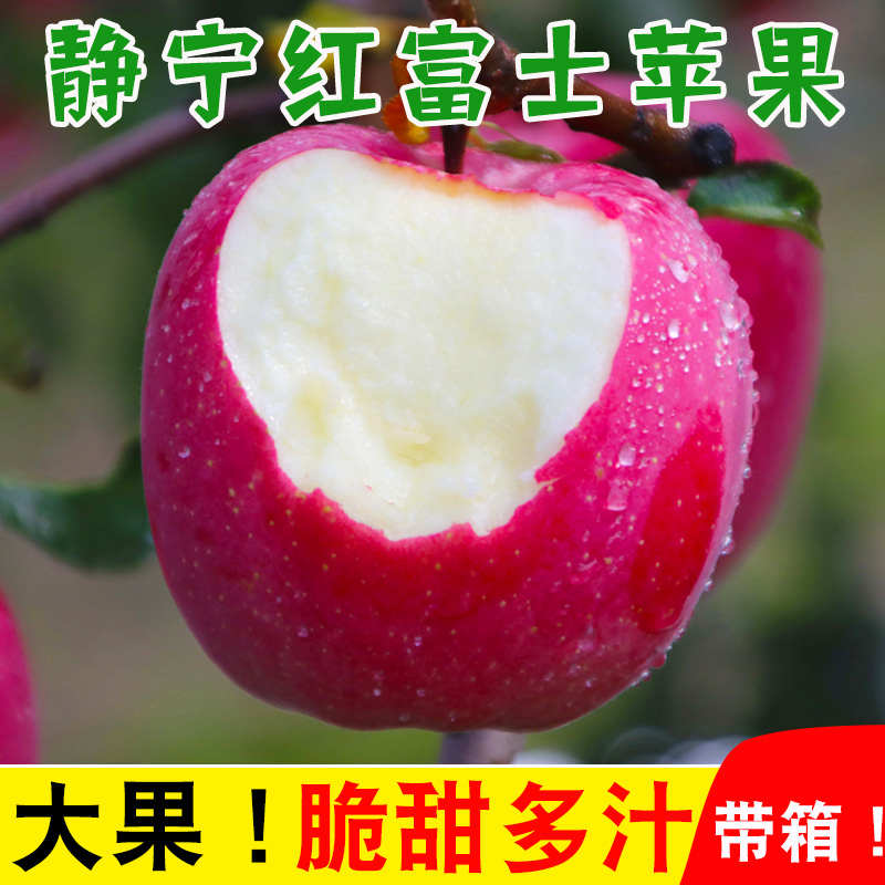 甘肃静宁苹果红富士应季水果带箱10斤新鲜苹果当季现摘脆甜包邮