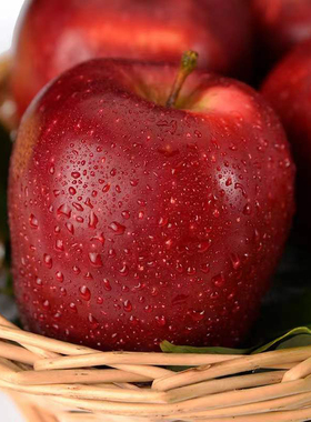 6斤大果 现摘正宗甘肃天水花牛苹果粉面苹果当季新鲜水果