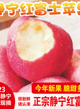 现摘甘肃静宁红富士苹果正宗水果新鲜当季10斤糖心整箱富士静宁脆