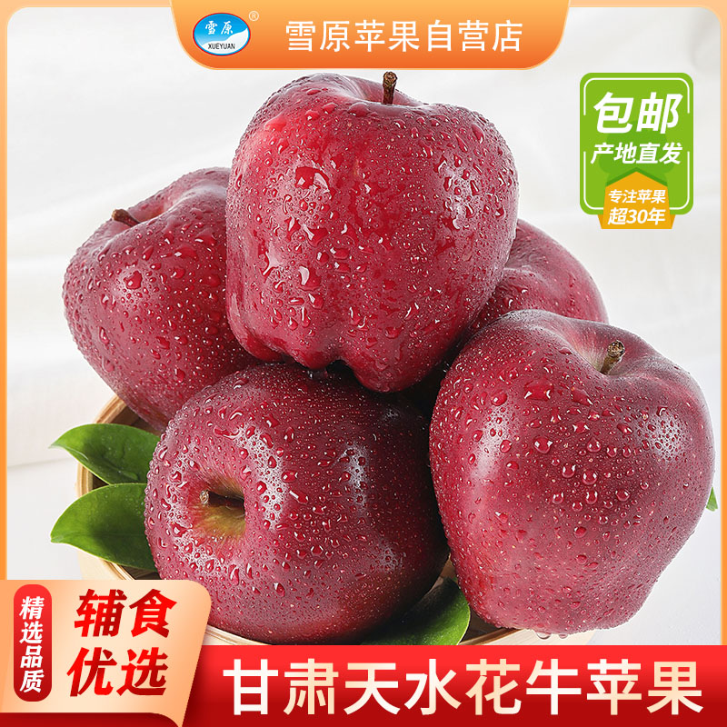 【原生态】甘肃天水花牛苹果当季新鲜水果10斤产地直发粉面刮泥