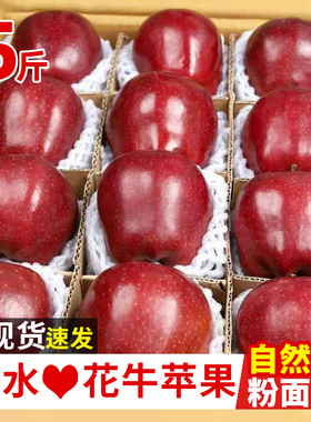 2024甘肃天水花牛苹果5斤正宗红粉面苹果新鲜水果当季水果整箱包1