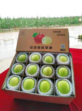 甘肃灵台苹果 75-80mm瑞雪苹果【24枚装】平凉金水果约12斤
