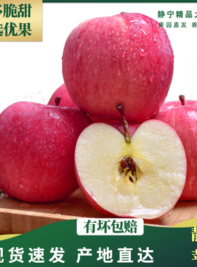 2023甘肃静宁红富士苹果10斤新鲜应当季水果脆甜冰糖心丑萍果整箱
