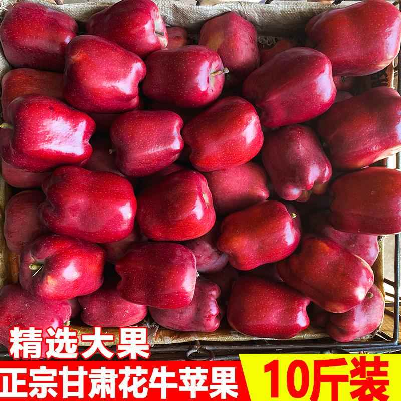 甘肃天水花牛苹果10斤新鲜水果整箱包邮红蛇粉面果宝宝辅食