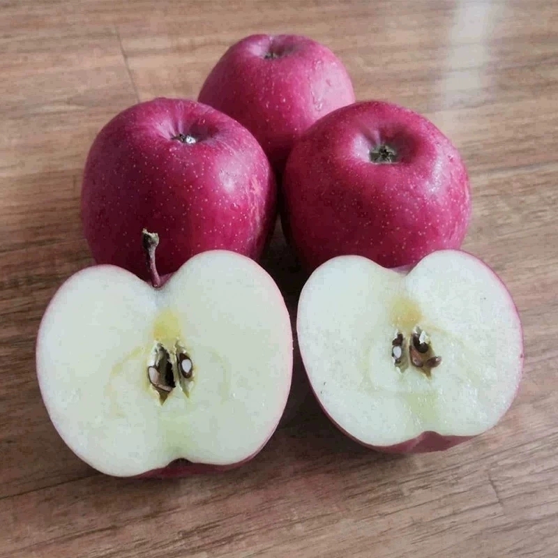 甘肃静宁红富士苹果高原当季新鲜水果脆甜可口24颗装直径75-80mm