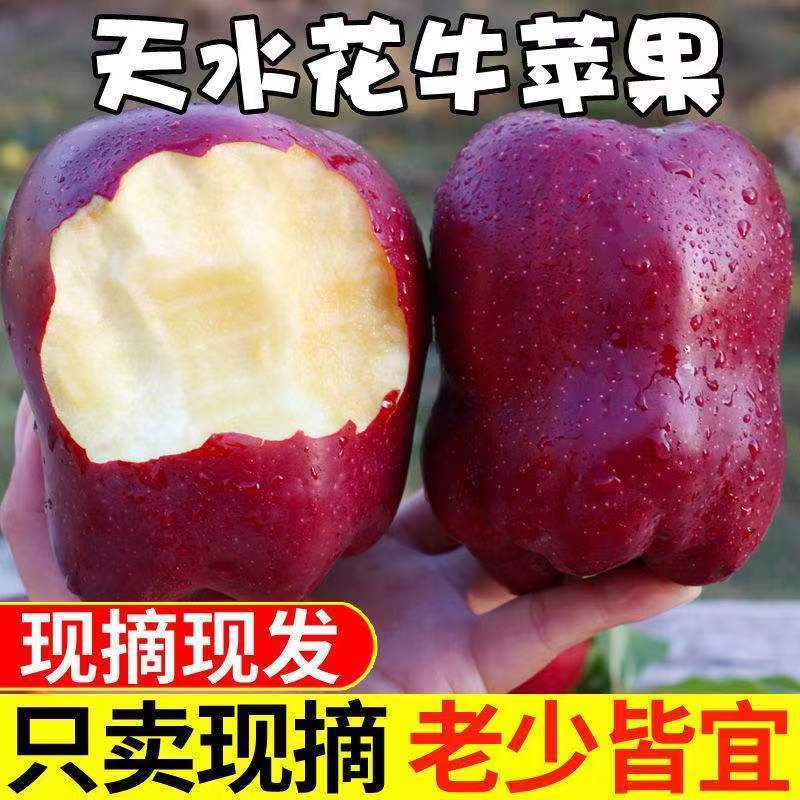 正宗甘肃天水花牛苹果 10斤中小果粉糯香甜新鲜水果粉面宝宝辅食